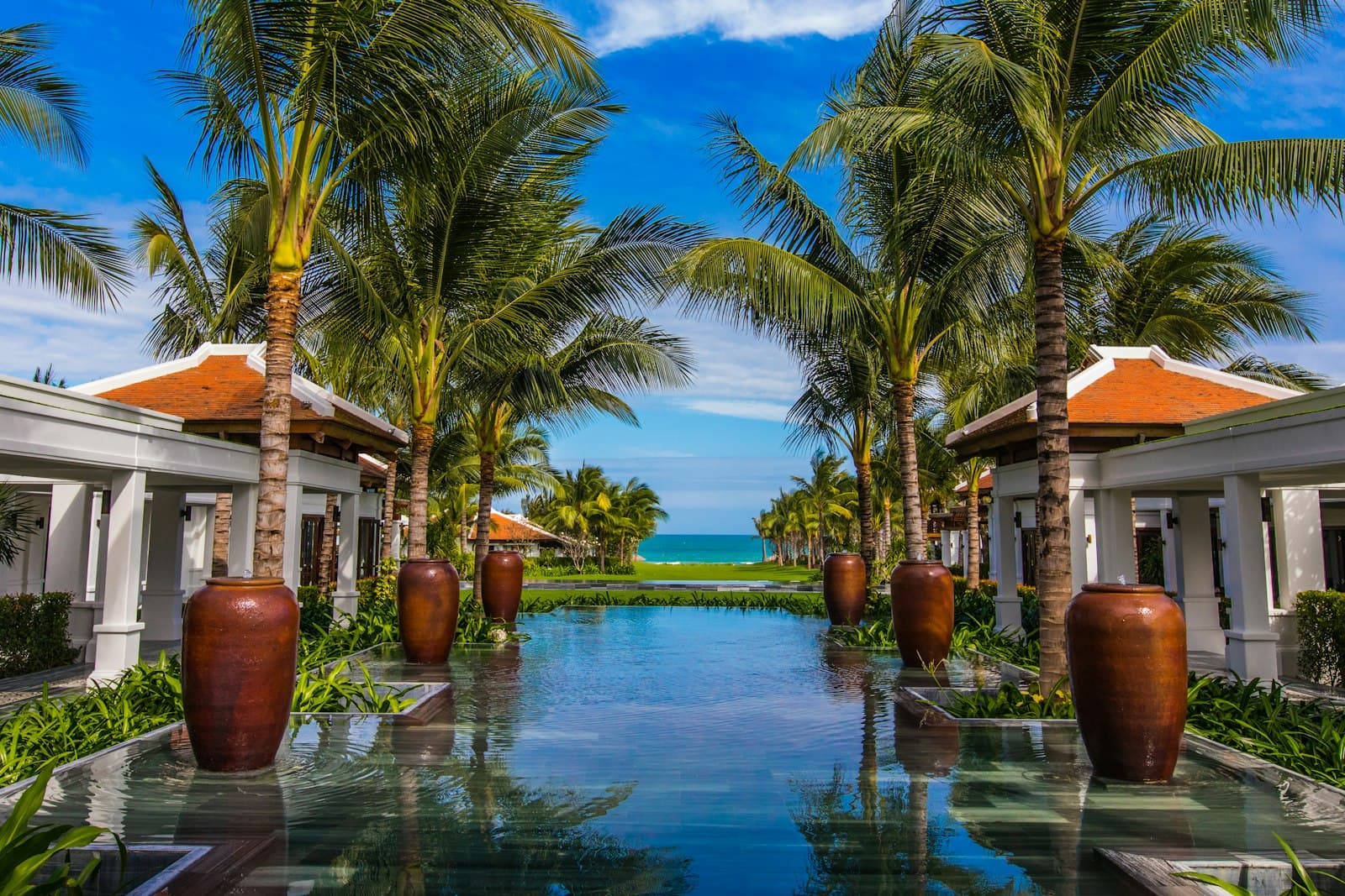 Palm-fringed pathway leading to a beachfront resort