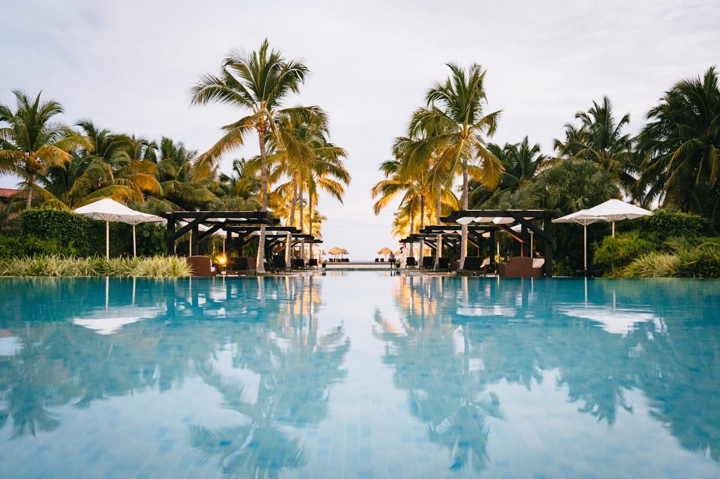 Palm-lined infinity pool at dusk